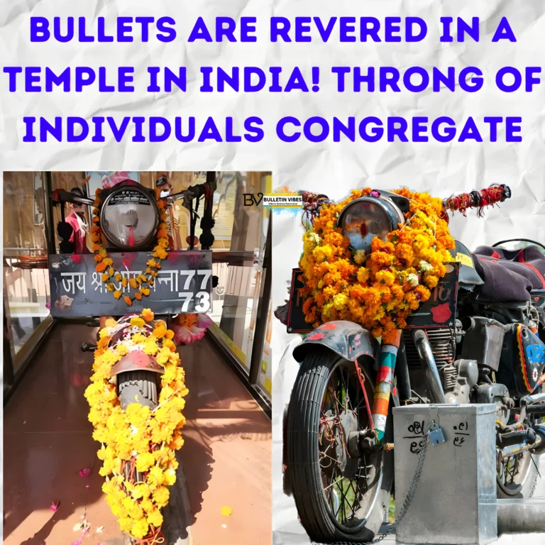 Bullet Temple in India: Bullets Are Revered In A Temple In India! Throng Of Individuals Congregate