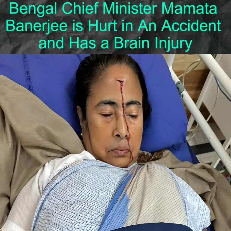 CM Mamata Banerjee Accident News: Bengal Chief Minister Mamata Banerjee is Hurt in An Accident and Has a Brain Injury